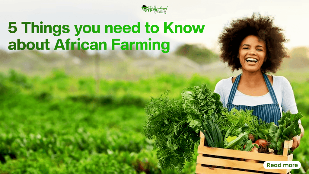 5 Things you need to Know about African Farming - Motherland Groceries