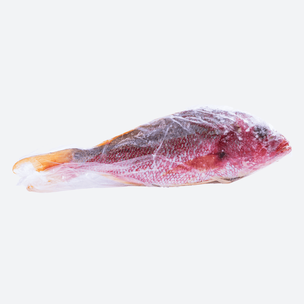 Red Snapper Fish 5lbs - Motherland Groceries