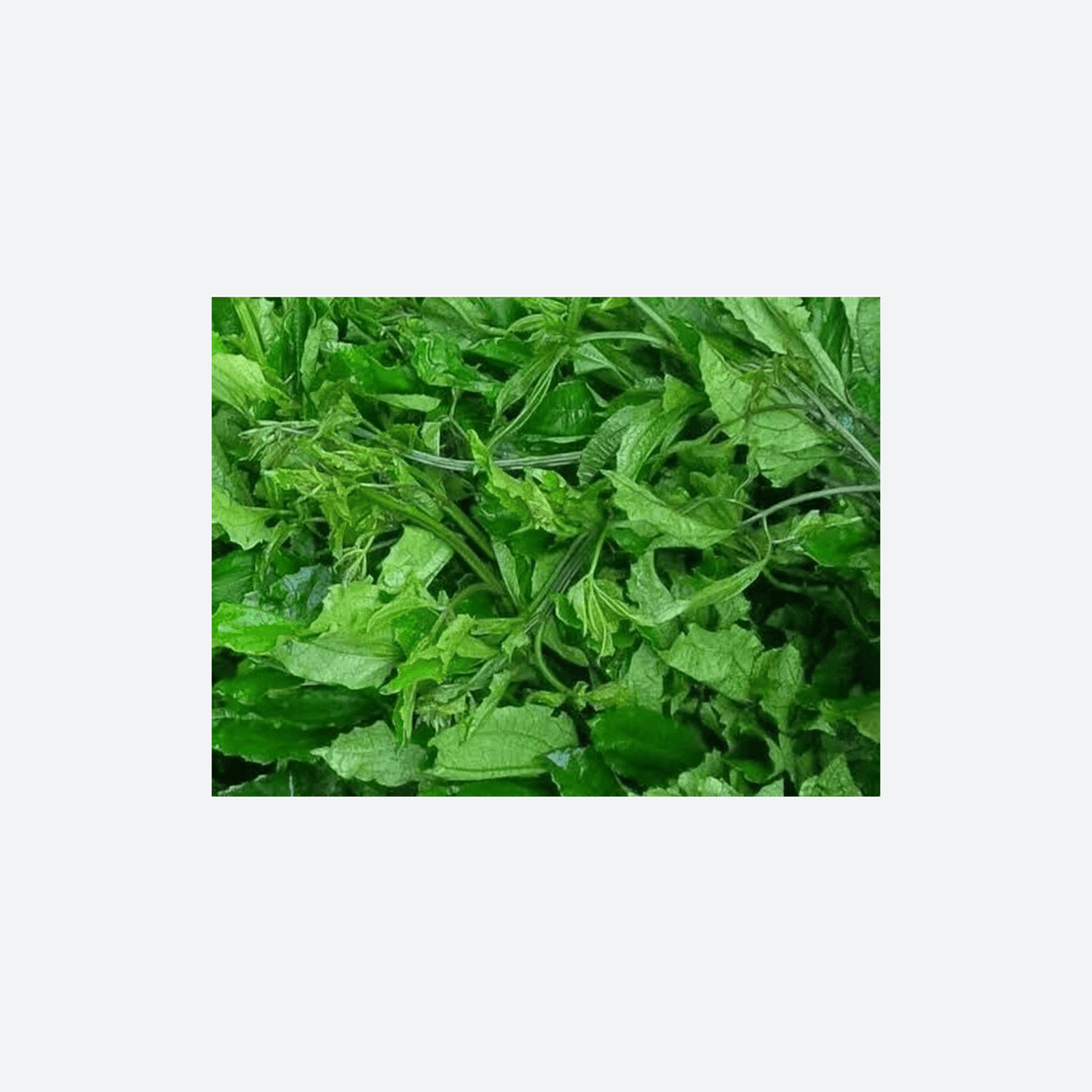 Fz Ugu Leaves 1lb - Motherland Groceries