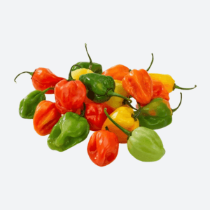 Habanero Peppers - Motherland Groceries