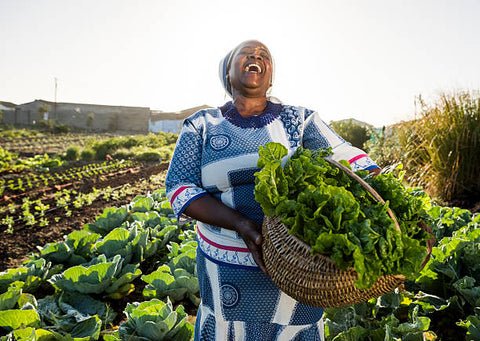 African women in Agriculture